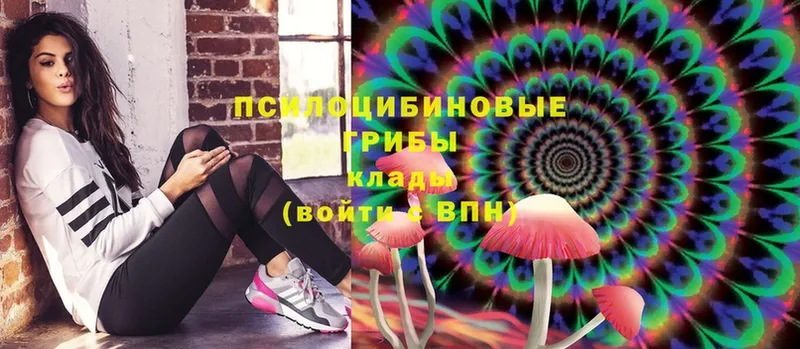 Галлюциногенные грибы Cubensis  Алексин 